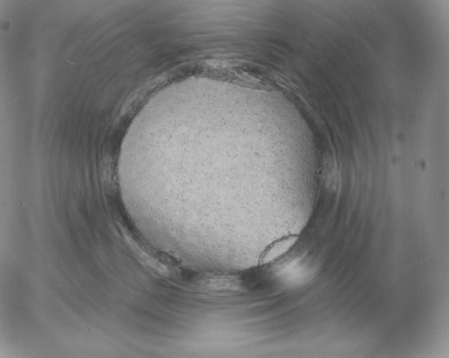 X0000053060670200508011915