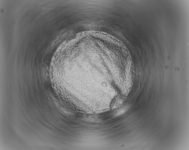 X0000053060671200508011915