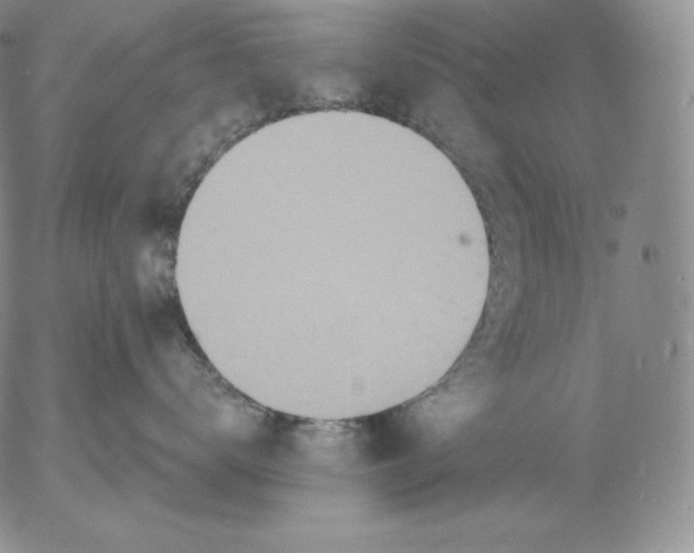 X0000053060672200508011915