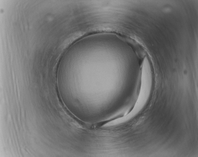 X0000053060673200508011915