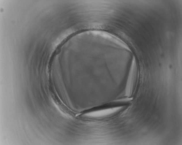 X0000053060674200508011915