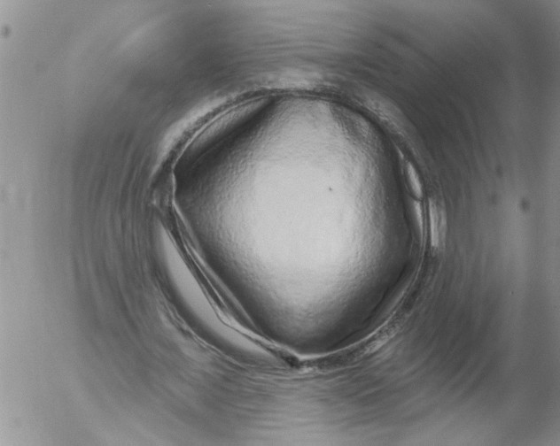 X0000053060675200508011915