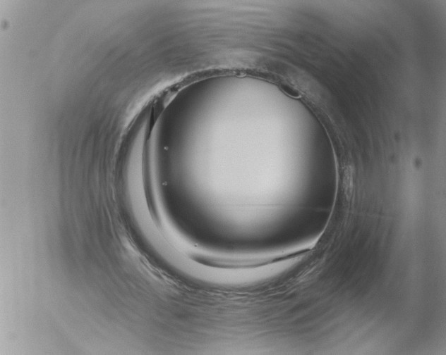 X0000053060676200508011915