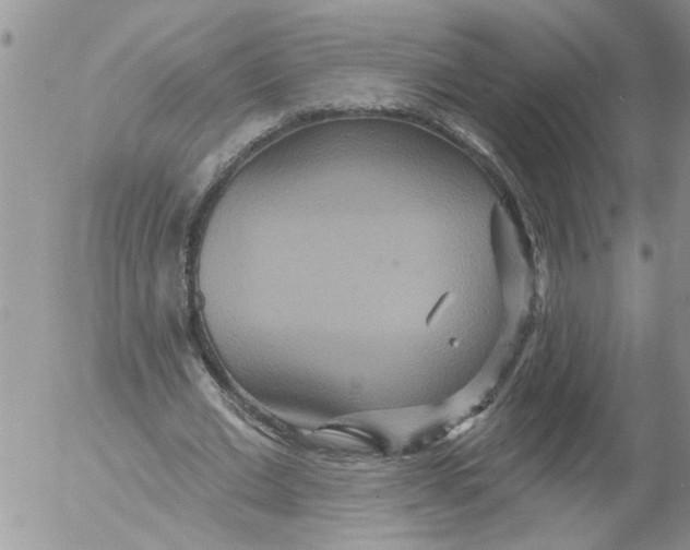 X0000053060677200508011914