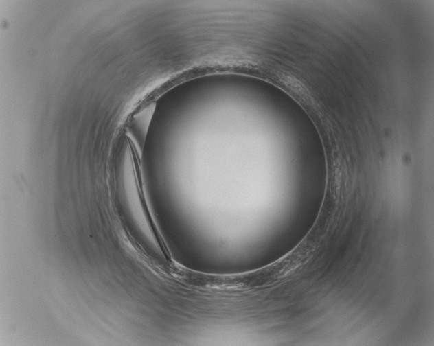 X0000053060680200508011914