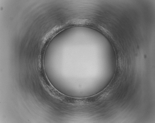 X0000053060682200508011914