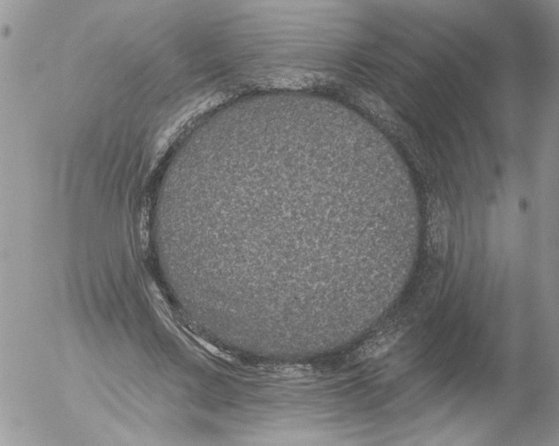 X0000053060683200508011914