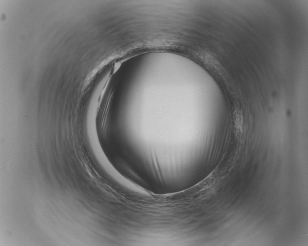 X0000053060684200508011914