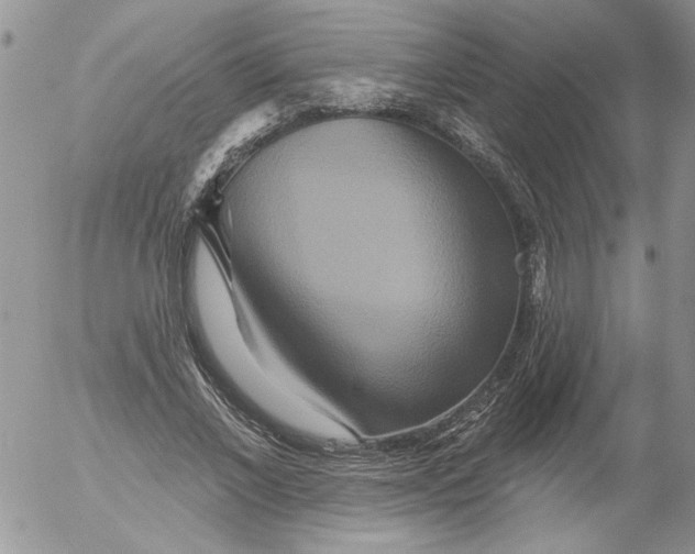 X0000053060685200508011914