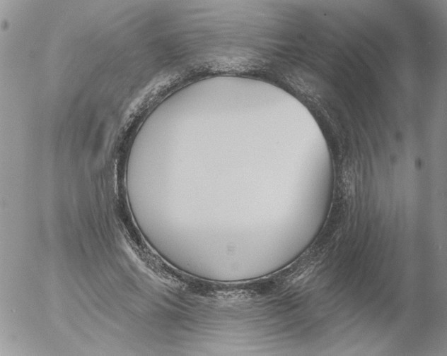 X0000053060686200508011914