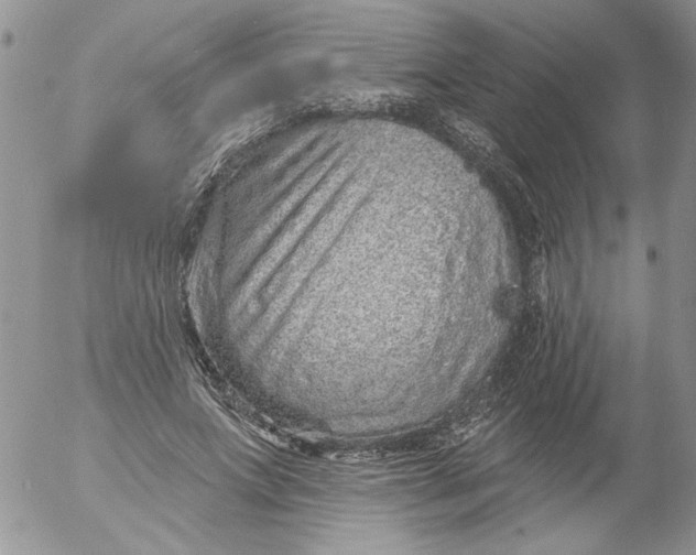 X0000053060687200508011914