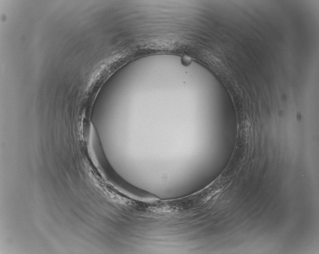 X0000053060688200508011914