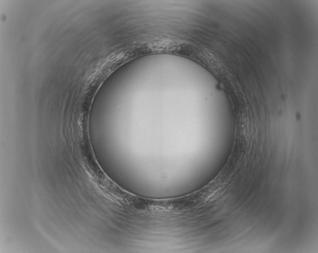 X0000053060690200508011914