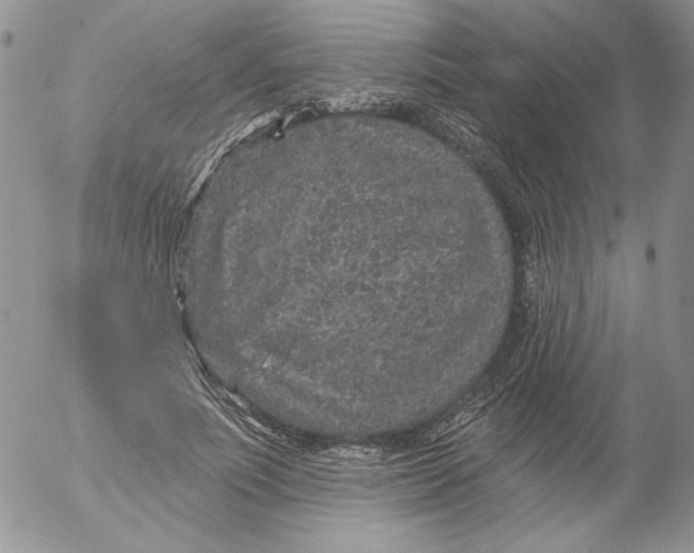 X0000053060691200508011914