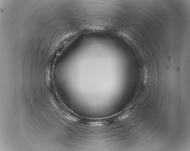 X0000053060692200508011914