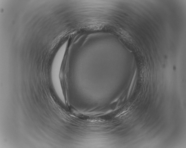 X0000053060693200508011914