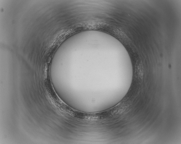 X0000053060694200508011914