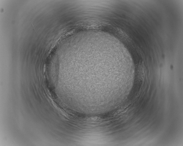 X0000053060695200508011914