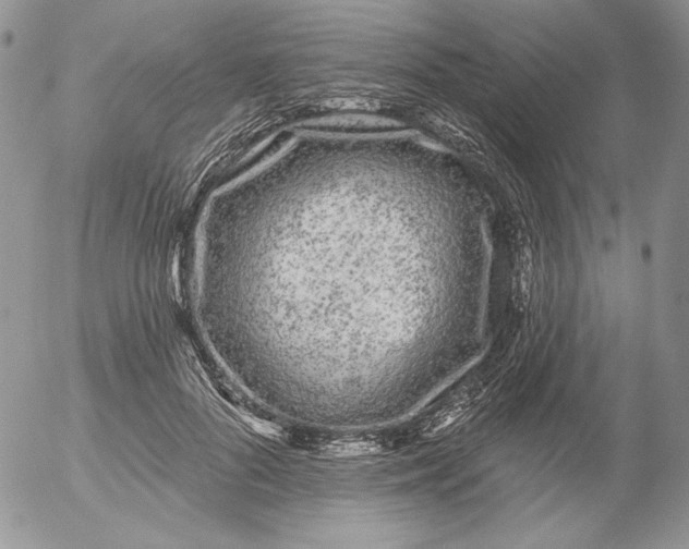 X0000053060696200508011914