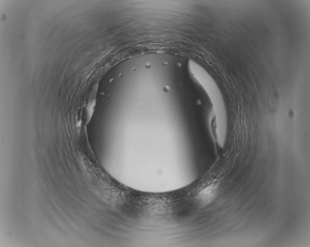 X0000053060697200508011914