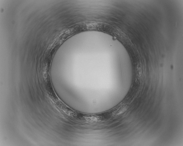 X0000053060698200508011914