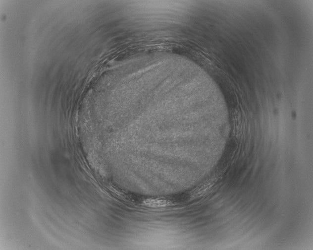 X0000053060699200508011914