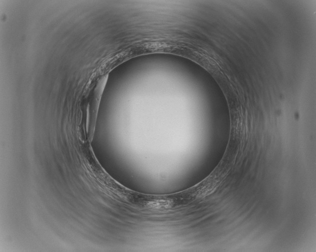 X0000053060700200508011914