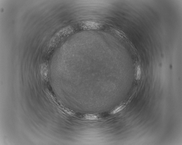 X0000053060701200508011914