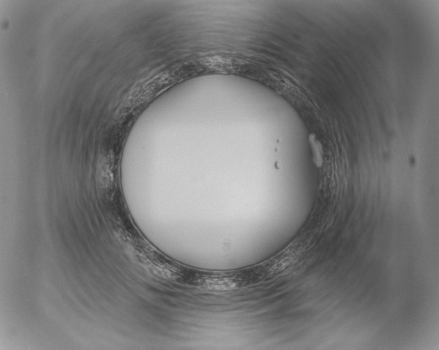 X0000053060702200508011914