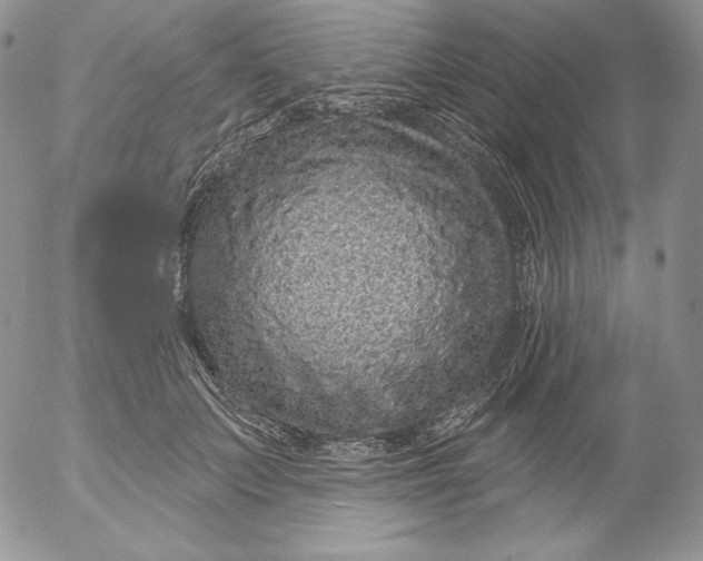 X0000053060703200508011914