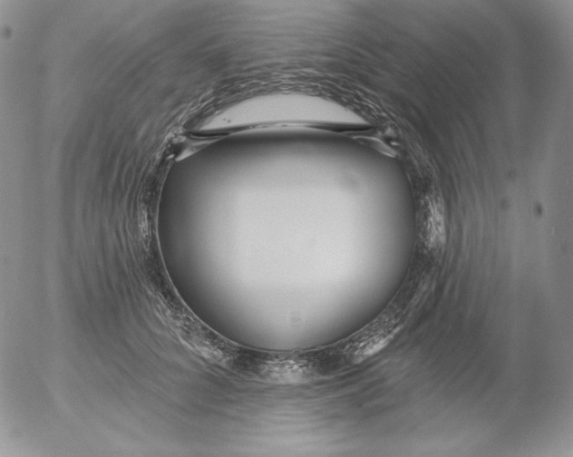 X0000053060704200508011914