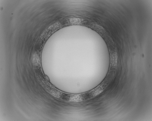 X0000053060705200508011914