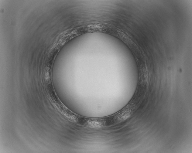 X0000053060706200508011914