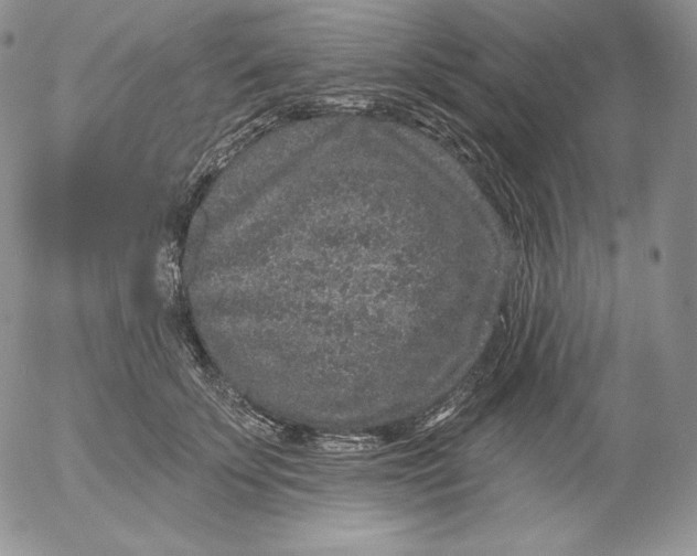 X0000053060707200508011914