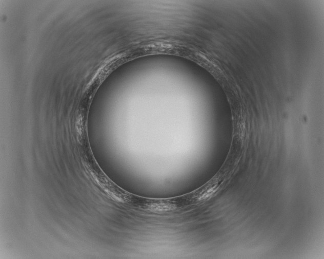 X0000053060708200508011914