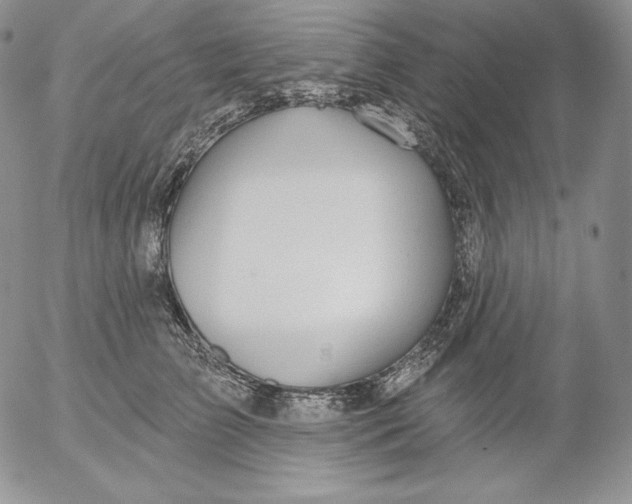 X0000053060709200508011914