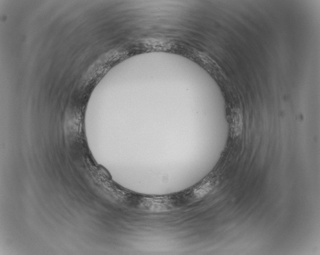 X0000053060713200508011914