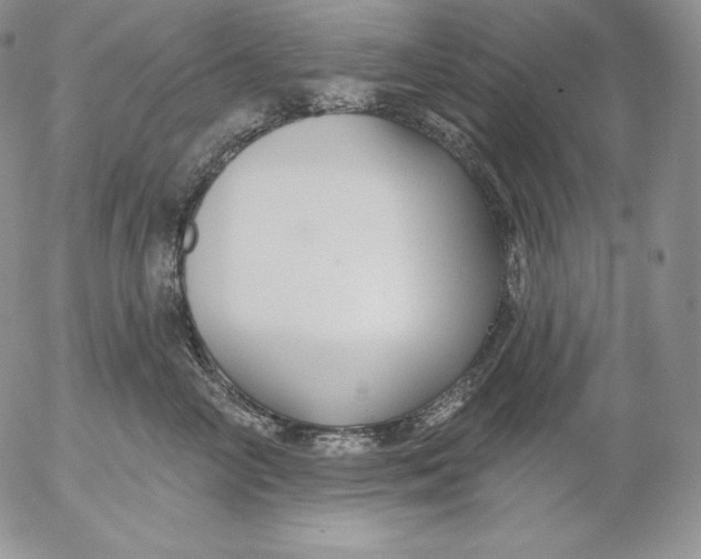 X0000053060714200508011914