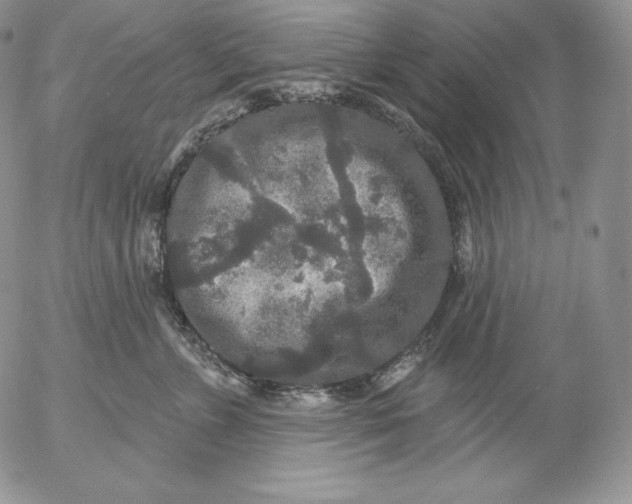 X0000053060715200508011914