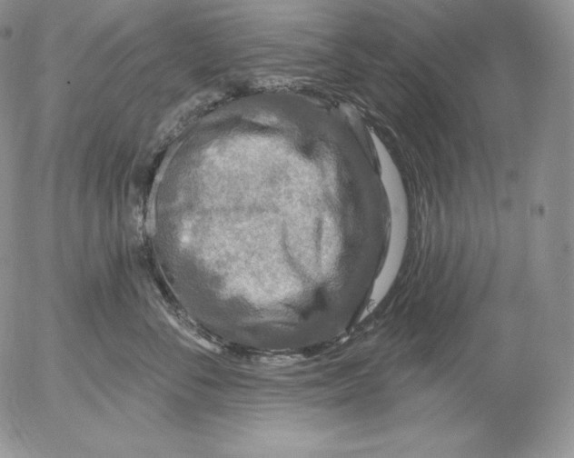 X0000053060716200508011914