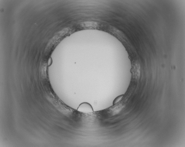 X0000053060717200508011914