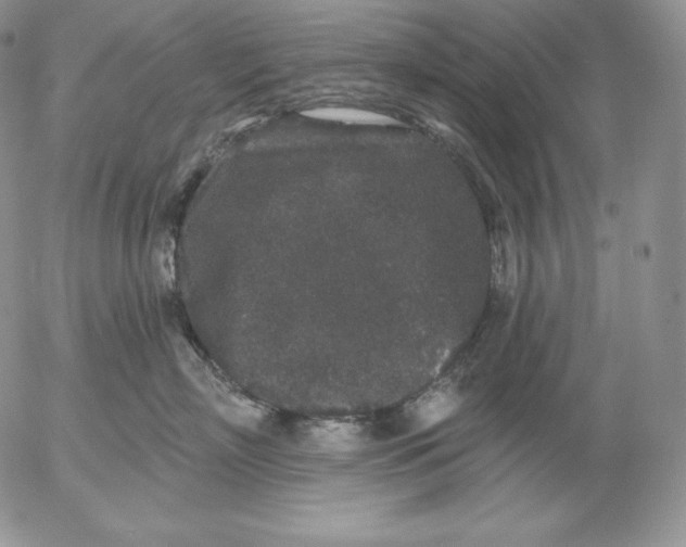 X0000053060718200508011914