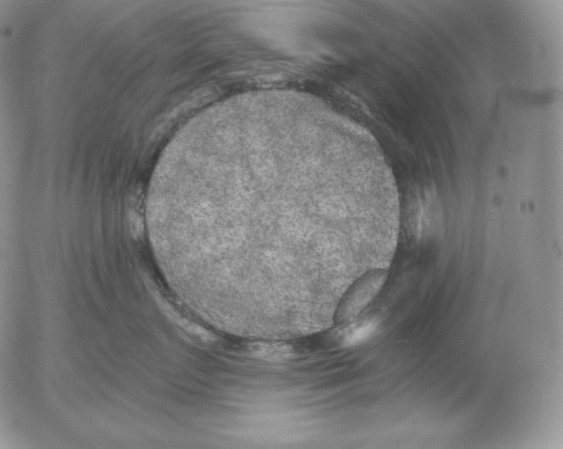 X0000053060719200508011914