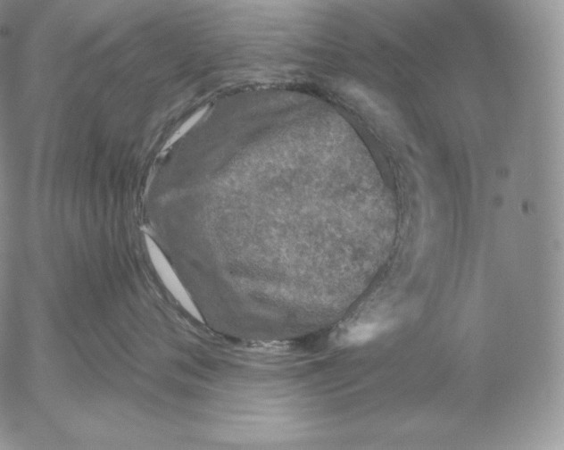 X0000053060720200508011914