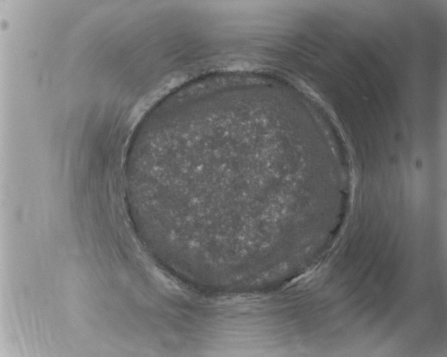 X0000053060721200508011913