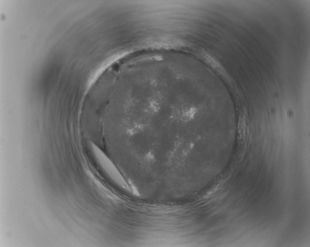 X0000053060722200508011913