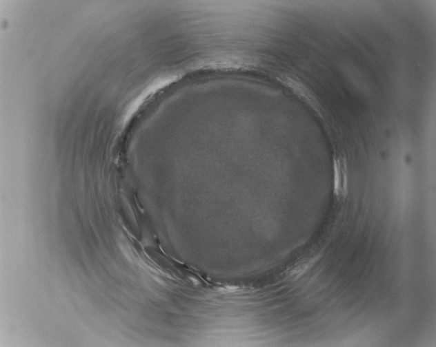 X0000053060723200508011913