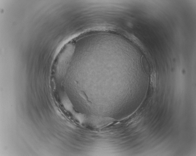 X0000053060724200508011913