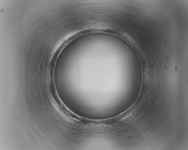 X0000053060726200508011913