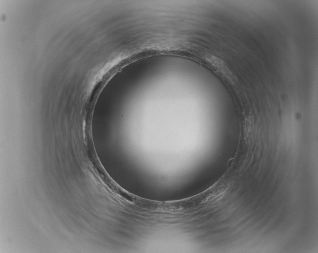 X0000053060727200508011913